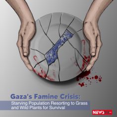 Gaza’s Famine Crisis